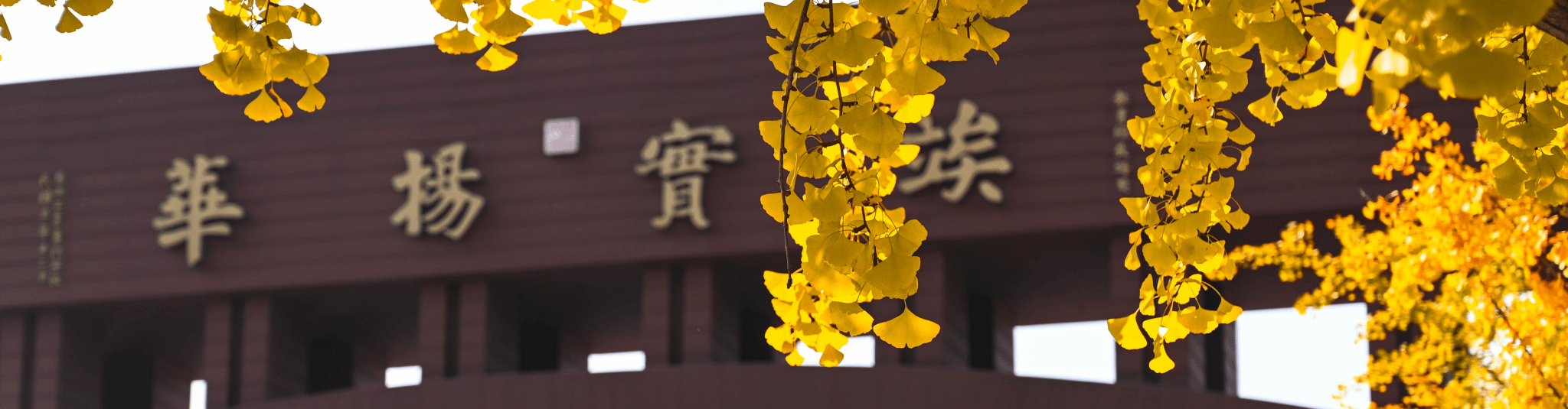 足球盘